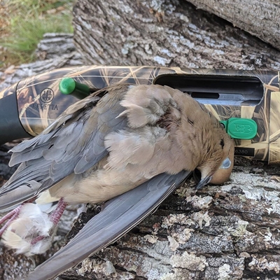 1. Minimalist Hunting Package